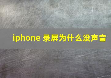 iphone 录屏为什么没声音